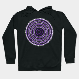 genome circles 13e-1 Hoodie